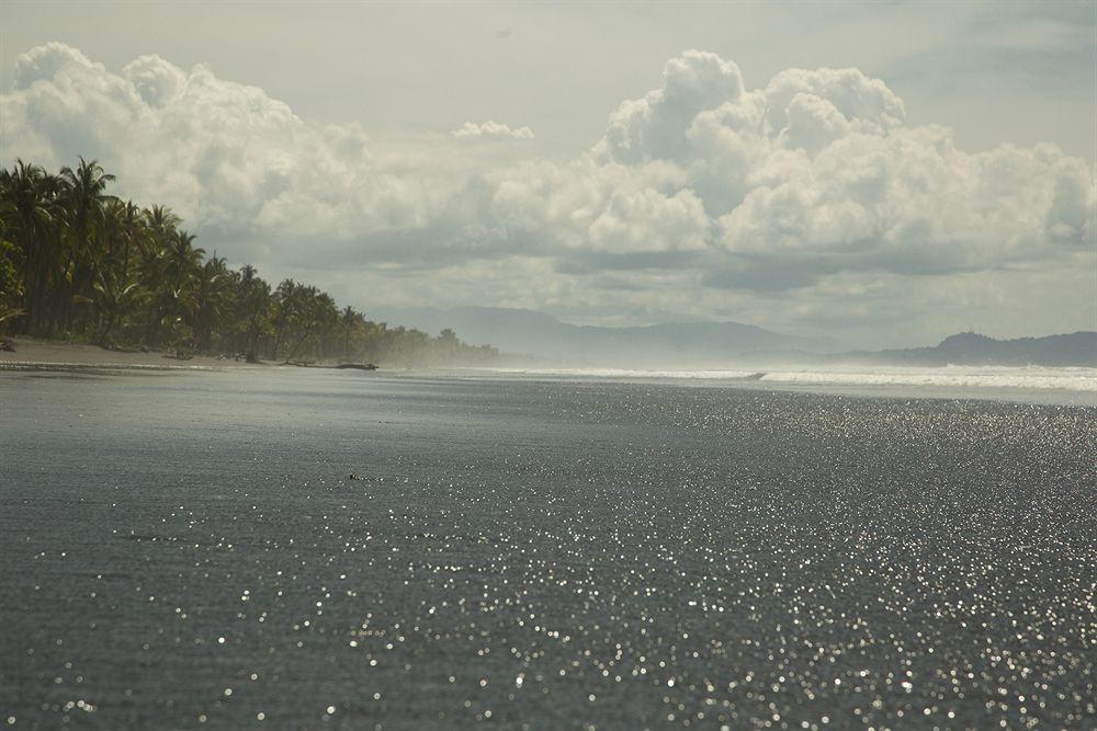 Clandestino Beach Resort Parrita Eksteriør billede