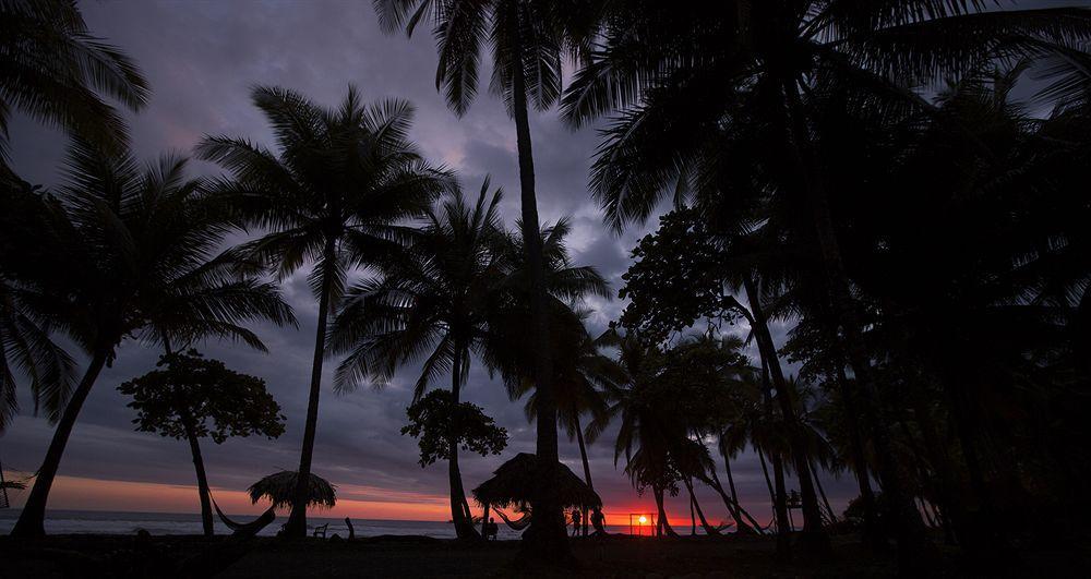 Clandestino Beach Resort Parrita Eksteriør billede