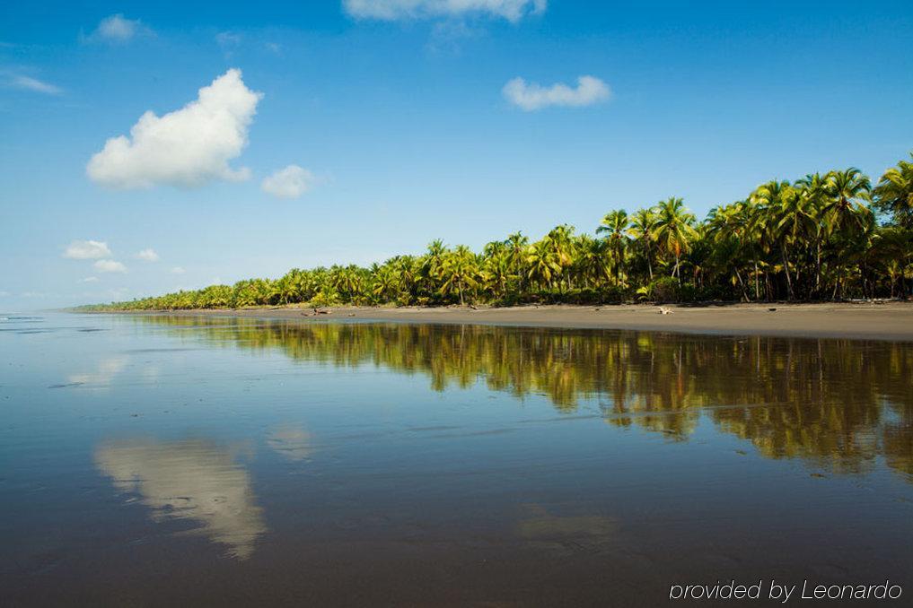 Clandestino Beach Resort Parrita Faciliteter billede