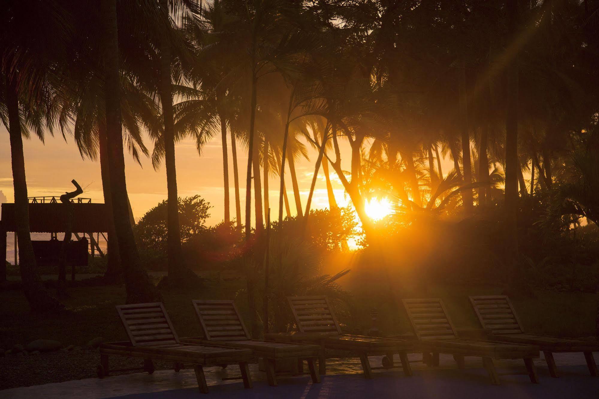 Clandestino Beach Resort Parrita Eksteriør billede