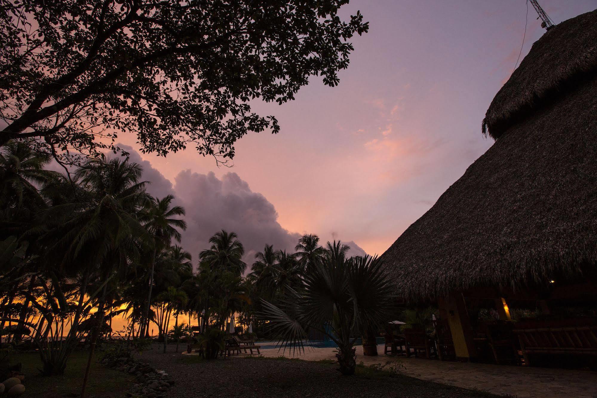 Clandestino Beach Resort Parrita Eksteriør billede