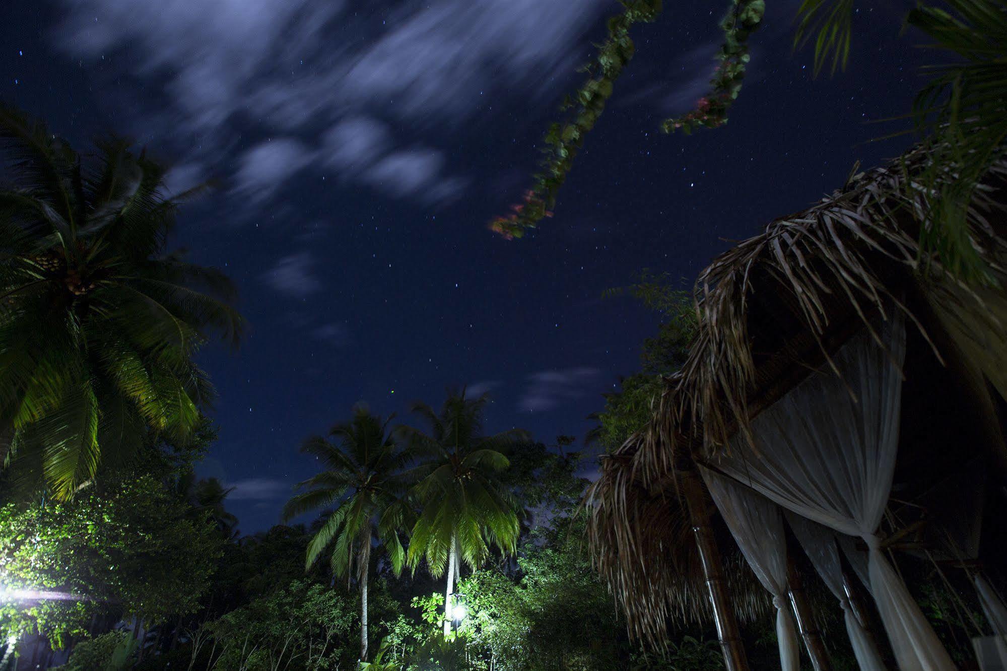 Clandestino Beach Resort Parrita Eksteriør billede