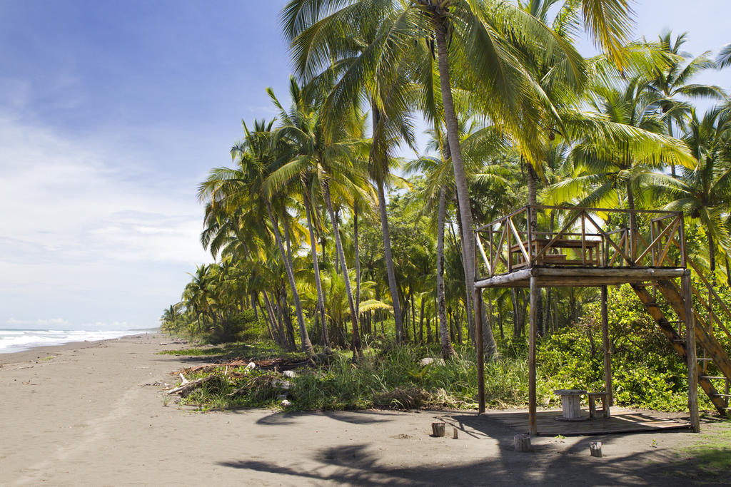 Clandestino Beach Resort Parrita Eksteriør billede